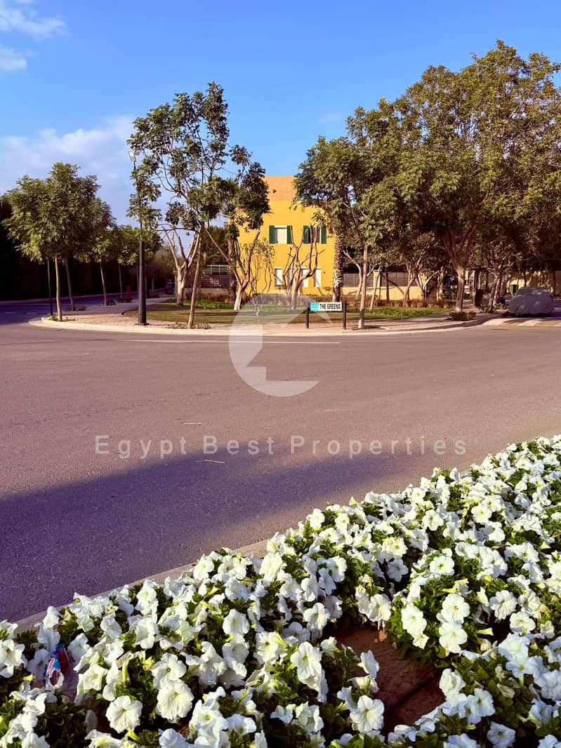 7 IMG-20250805-WA0163 - Copy. jpg