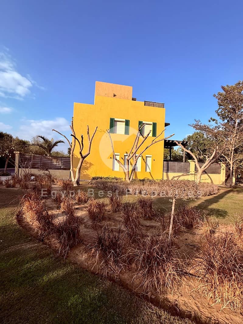 8 IMG-20250805-WA0164 - Copy. jpg