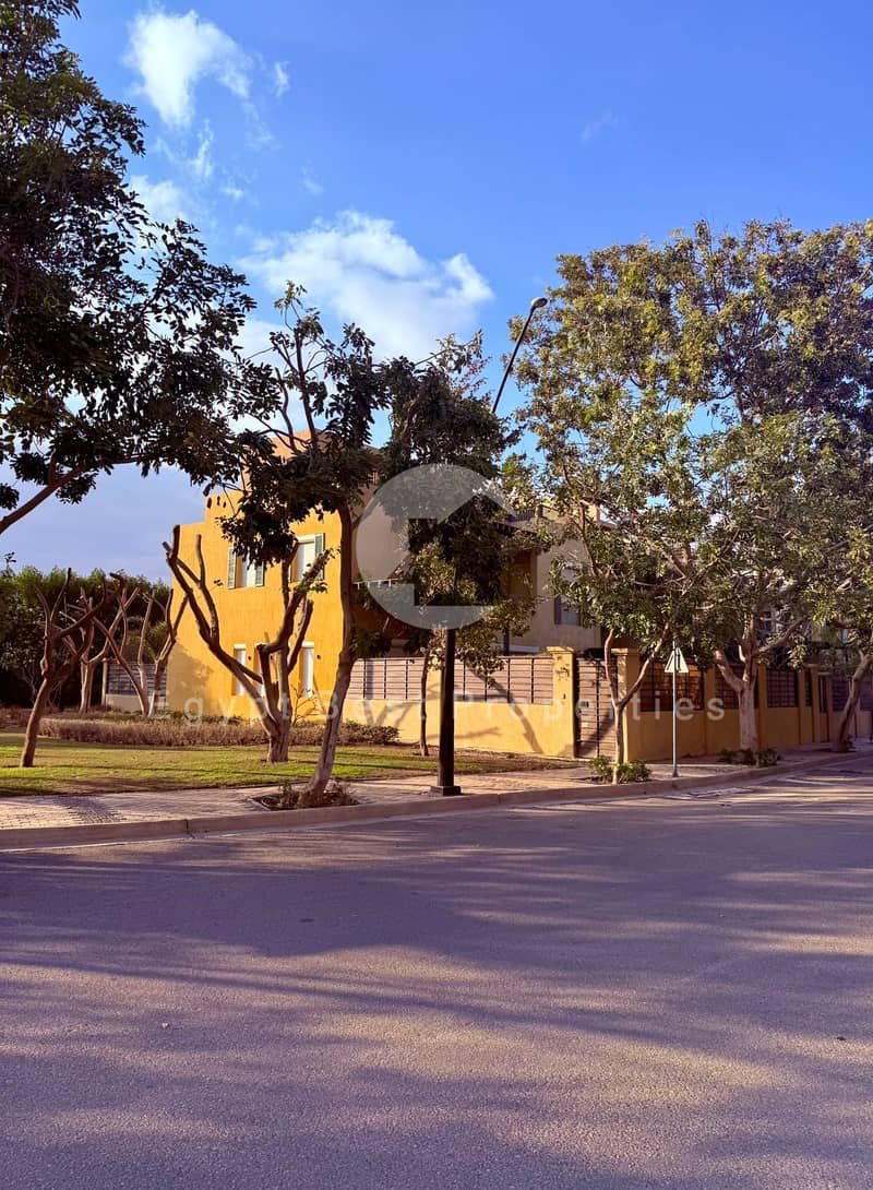 9 IMG-20250805-WA0165 - Copy. jpg