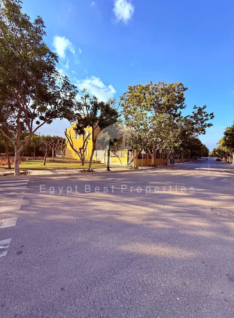 10 IMG-20250805-WA0166 - Copy. jpg