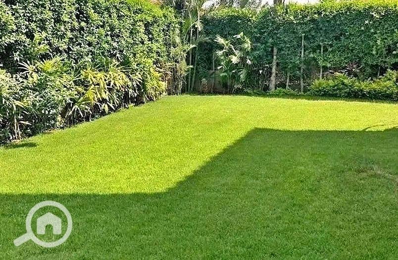 6 IMG-20251015-WA0362. jpg