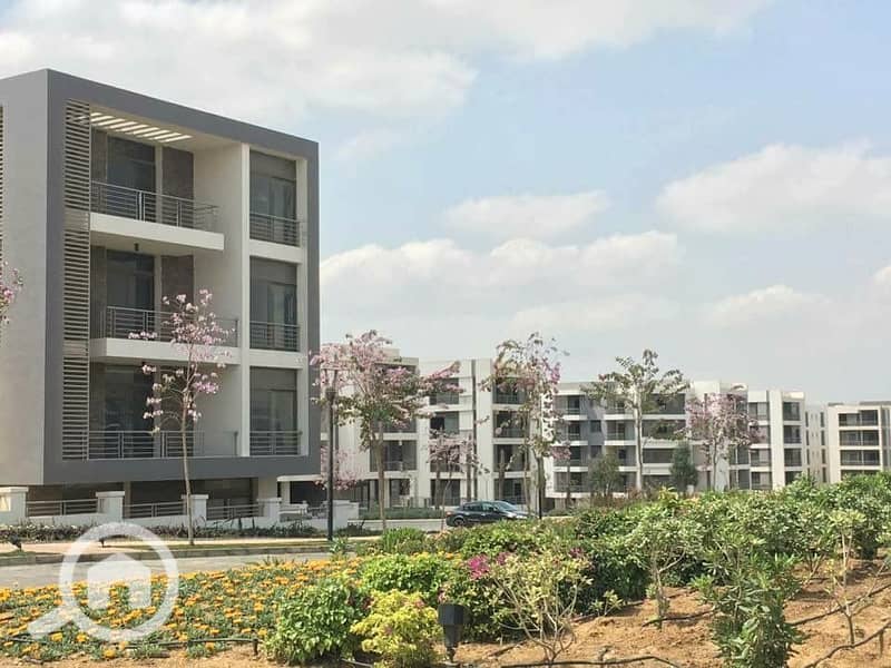 2 0a5c23ac-f36d-454c-9b9f-3163c2451d9e. jpg