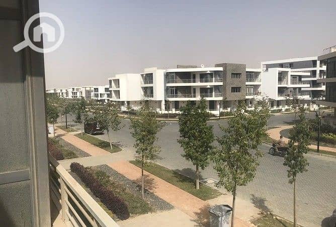 10 374460-cfd9ao (1). jpg