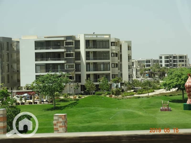 13 60308827_163736871315417_2907385266719162368_n. jpg