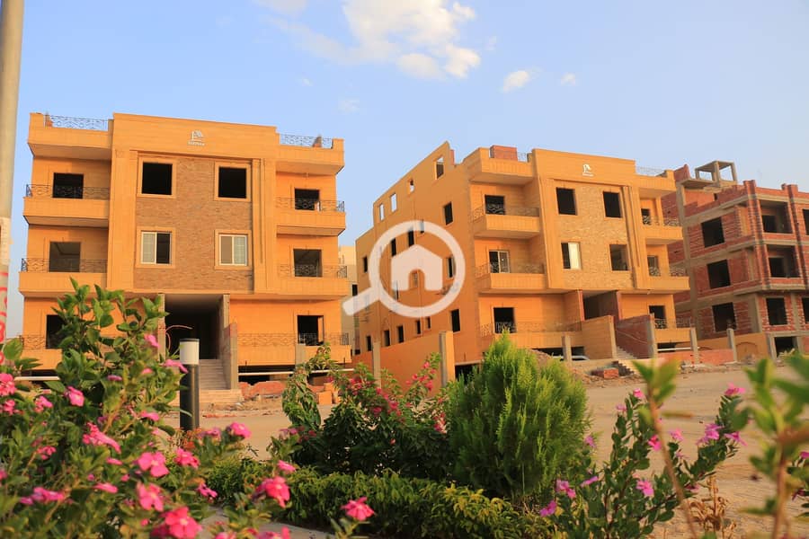 7 20210907173316_IMG_0069. JPG