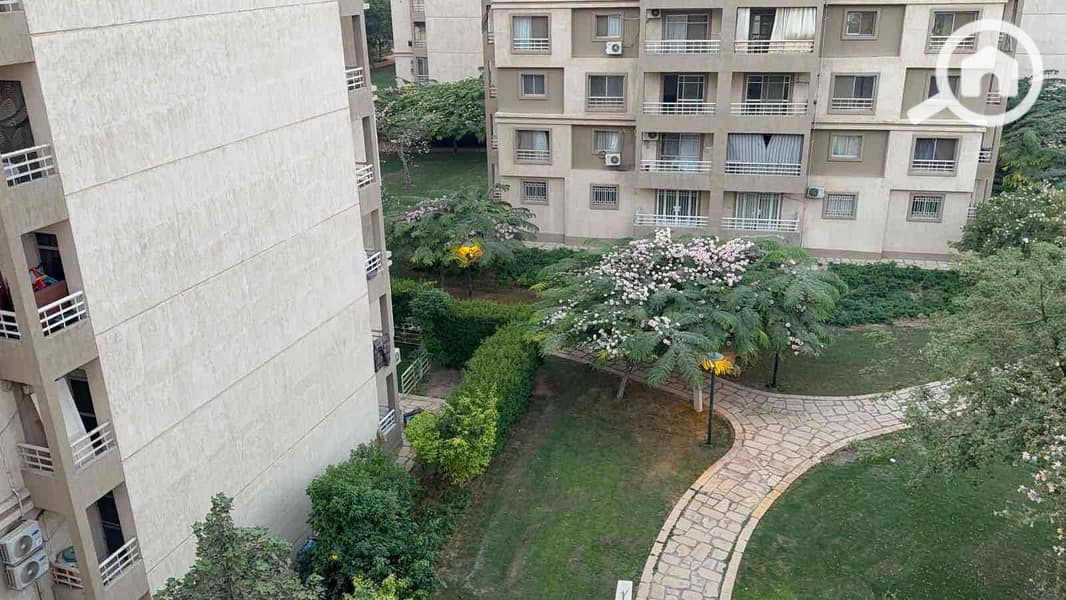 4 7259a079-1920-4df9-99bf-7f69368e6134. jpg