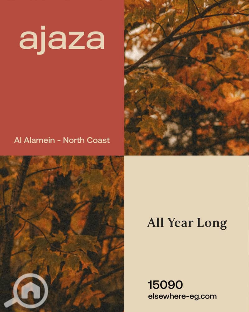 12 WhatsApp Image 2025-10-11 at 11.20. 34 AM (1). jpeg