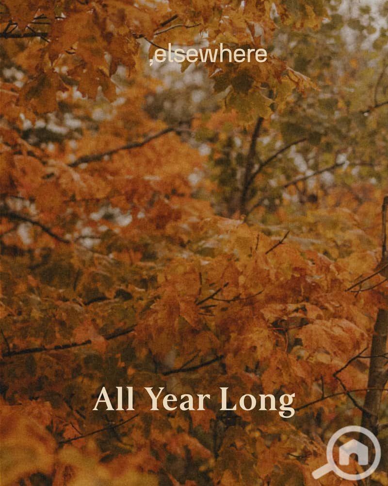 13 WhatsApp Image 2025-10-11 at 11.20. 34 AM (2). jpeg