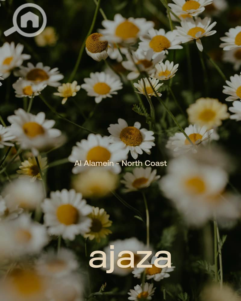 16 WhatsApp Image 2025-10-11 at 11.20. 34 AM (5). jpeg