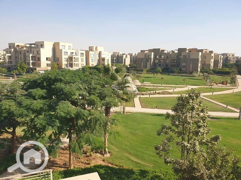 8 589547513_1374518764083706_1887139566257443244_n. jpg