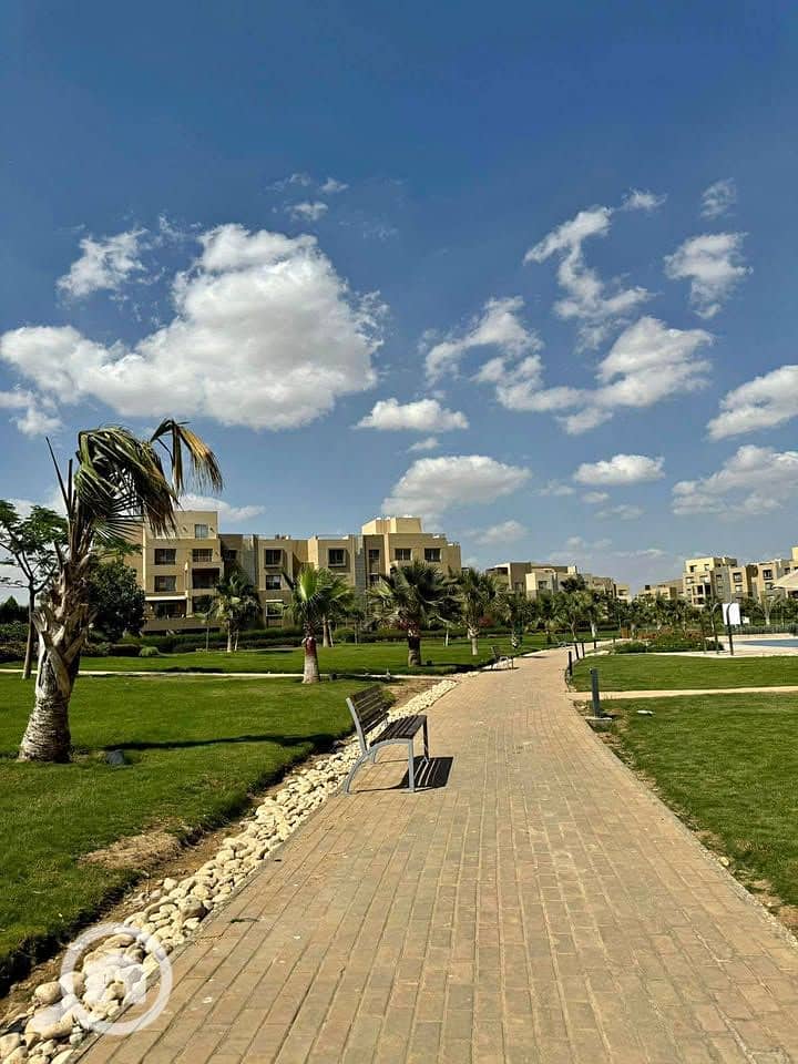 10 471278251_2289975458070619_6524830260486864231_n. jpg