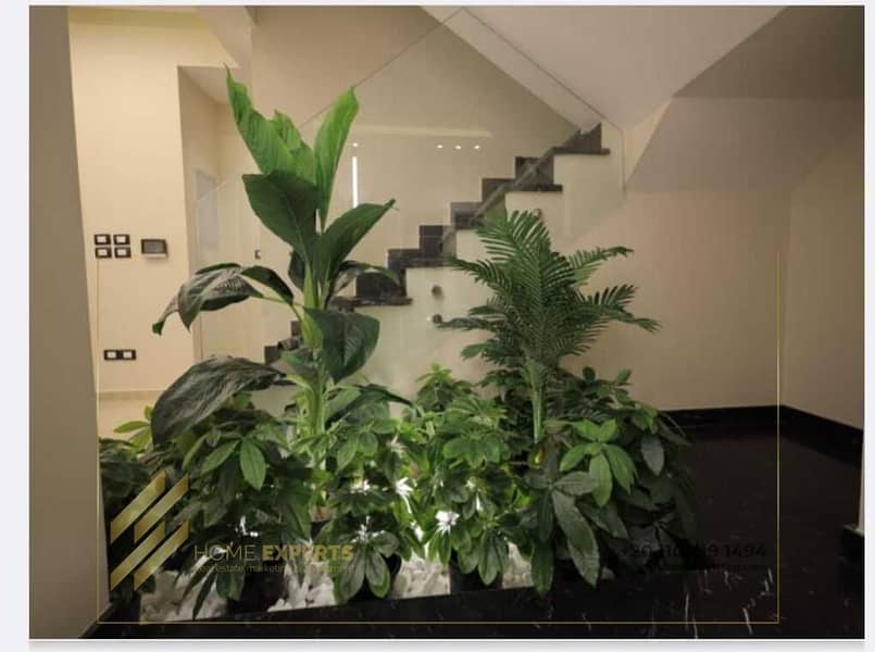 5 WhatsApp Image 2025-12-11 at 1.58. 36 AM (1). jpeg