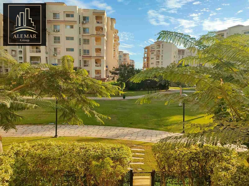 1000340137. jpg 1000340137. jpg