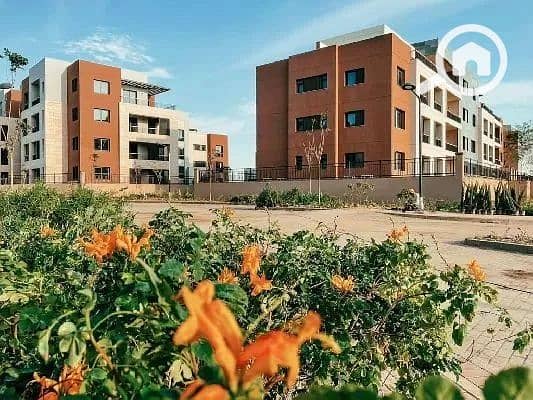 3 WhatsApp Image 2025-12-11 at 4.41. 21 PM (1). jpeg