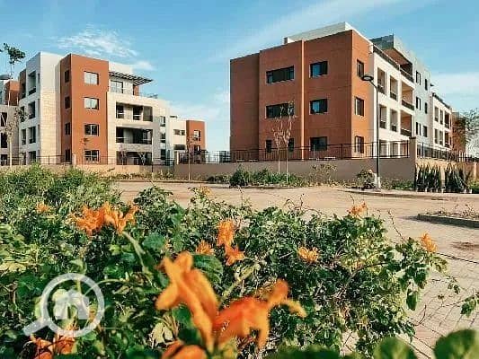 7 WhatsApp Image 2025-12-11 at 4.41. 21 PM (1). jpeg