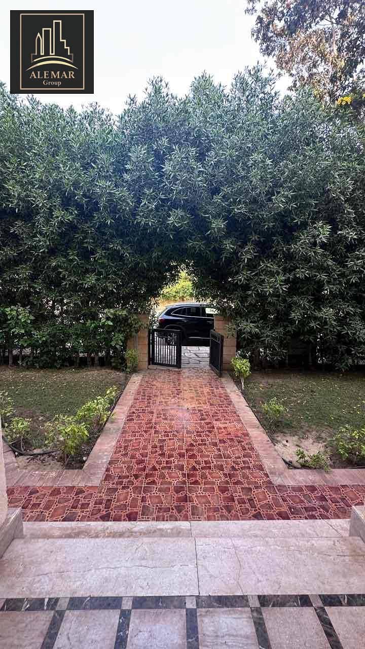 25 f7bdb22c-0061-4411-9966-0b5255a9cdd4. jpg