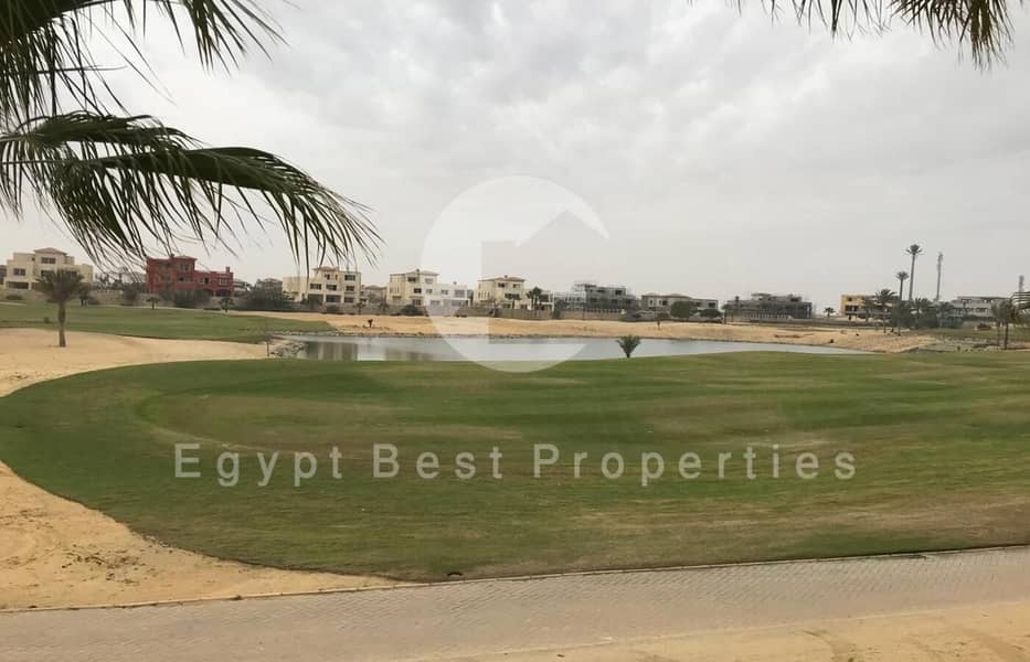 2 WhatsApp Image 2025-04-08 at 1.23. 31 PM (1). jpeg