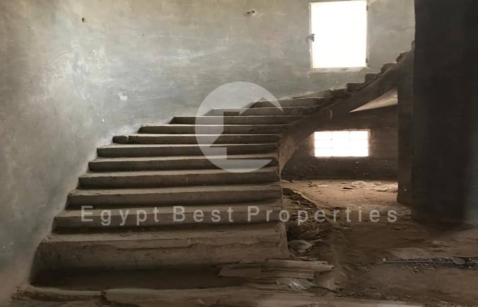 11 WhatsApp Image 2025-04-08 at 1.23. 34 PM. jpeg