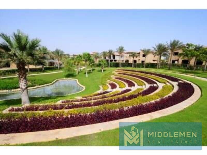 11 06db425e-3a36-4300-ac04-6ab0be0dbf14. jpg