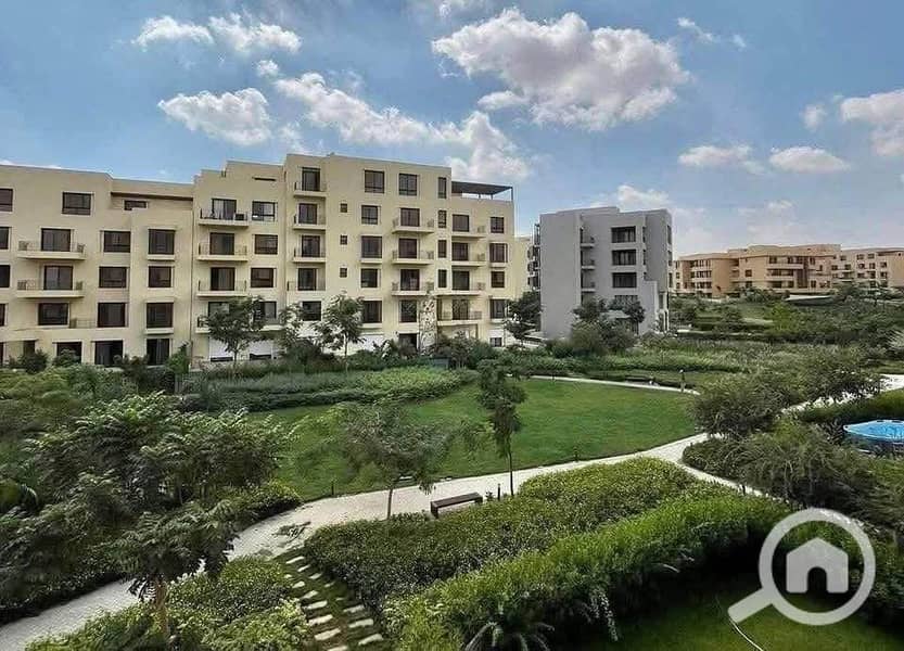 10 583347142_1336005618072738_5906828635891515135_n. jpg