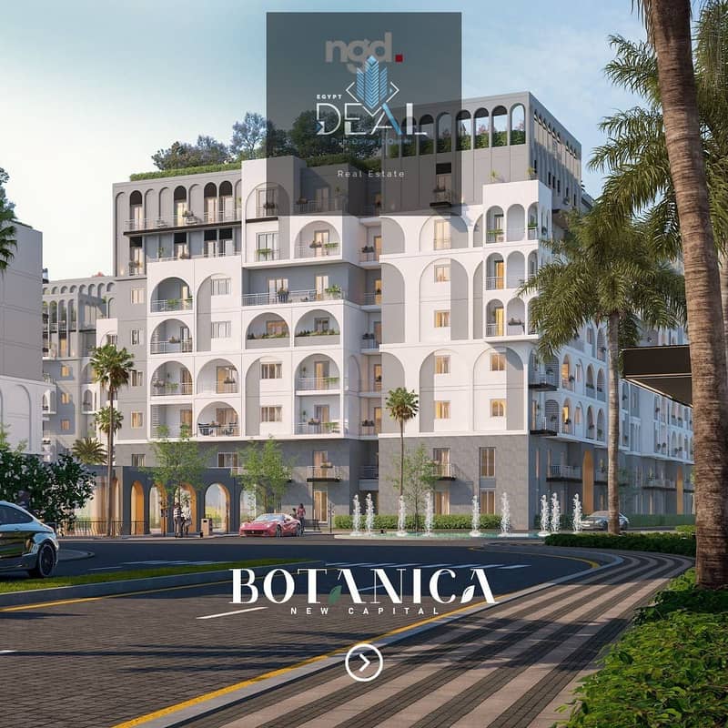 4 8cec866c-f552-42cc-82a3-57e1f47b617b. jpeg