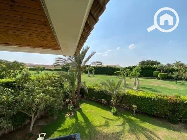 4 499921775_1007805428231578_5581981106282814599_n. jpg