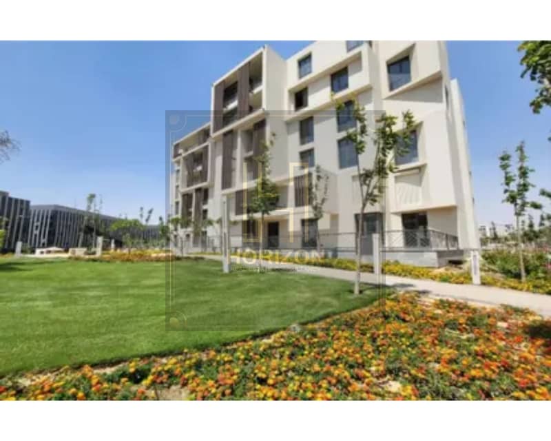 6 8397495-a766do. jpg