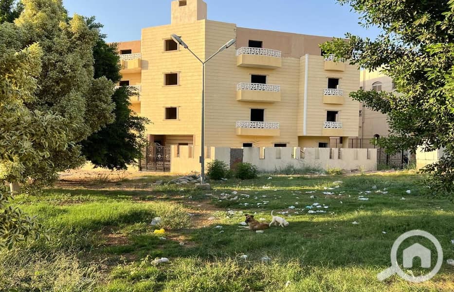 15 WhatsApp Image 2024-08-12 at 18.25. 20. jpeg