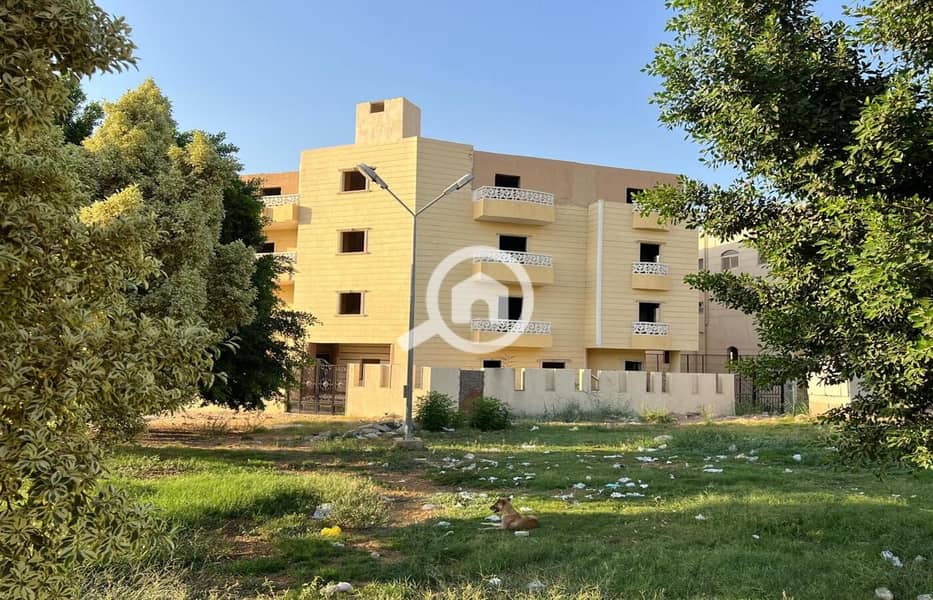 16 WhatsApp Image 2024-08-12 at 18.25. 23. jpeg