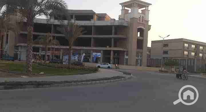 1000337665. jpg 1000337665. jpg