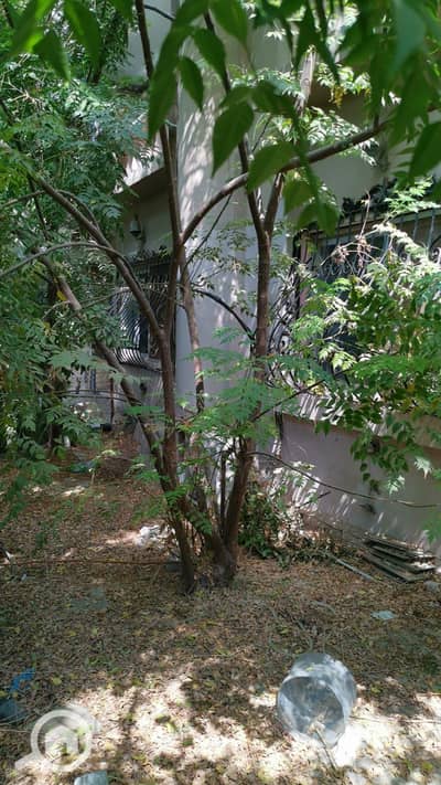 3 Bedroom Apartment for Sale in New Cairo, Cairo - WhatsApp Image 2025-12-11 at 21.33. 37. jpeg 3 Bedroom Apartment for Sale in New Cairo, Cairo - WhatsApp Image 2025-12-11 at 21.33. 37. jpeg