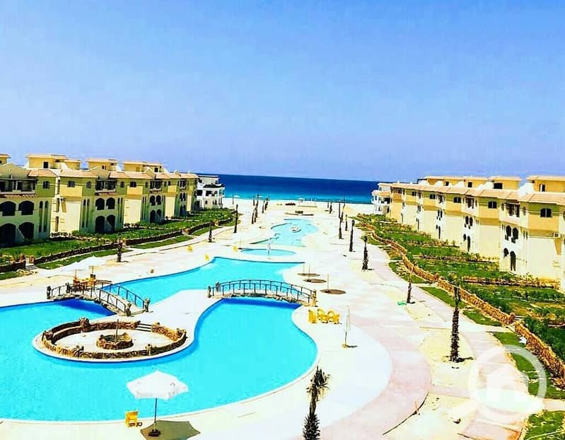 3 51475088_628022440966683_4710276498785828864_n. jpg