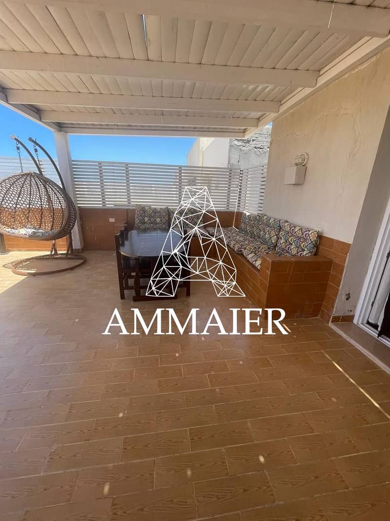 6 16a36cb0-0151-41dd-82e6-7a4e4734ecaa. jpg