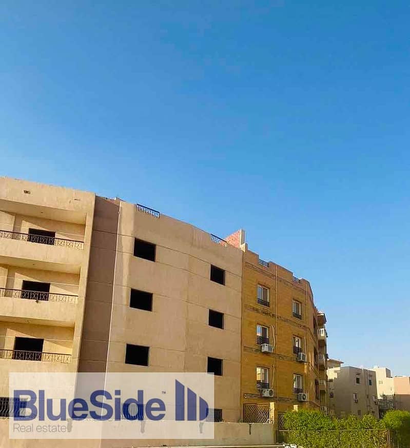 4 d5701db6-f8d1-4b3a-a2e0-0347f6790975. jpg