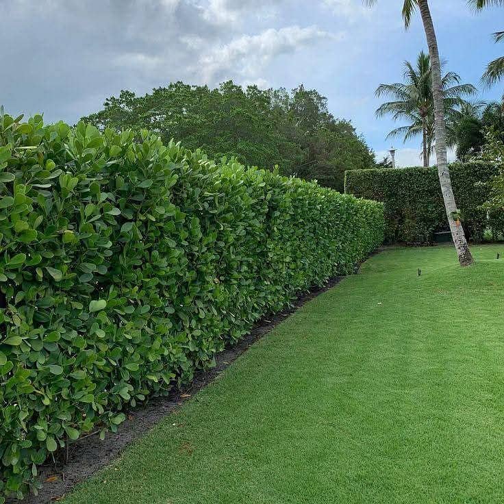 7 WhatsApp Image 2025-12-08 at 4.20. 24 PM (2). jpeg