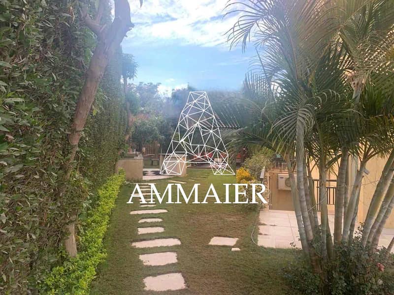 11 47bc6b81-1325-4a1c-a5f1-943235342b66. jpg