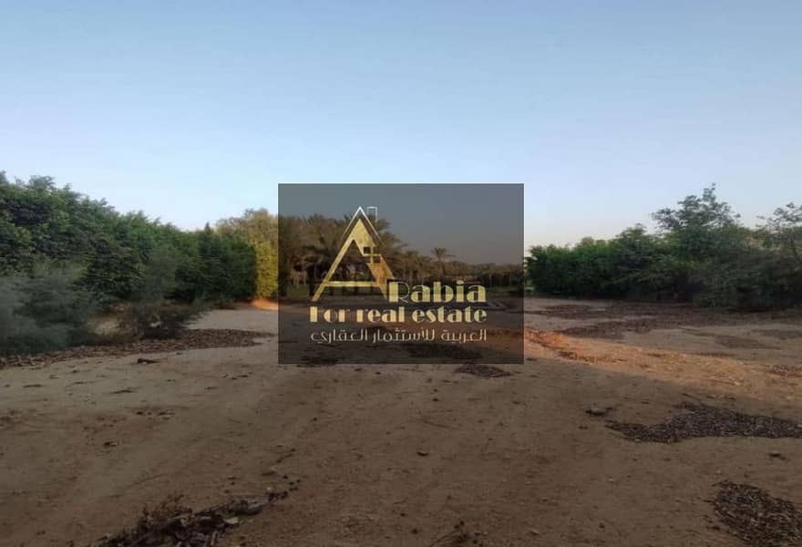 8 4cbb56ff-9eb3-46b9-914b-b6580651e7a2. jpg