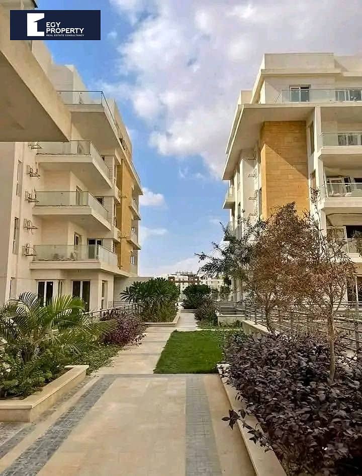 7 494183193_122236073678069365_1204033704659507043_n. jpg