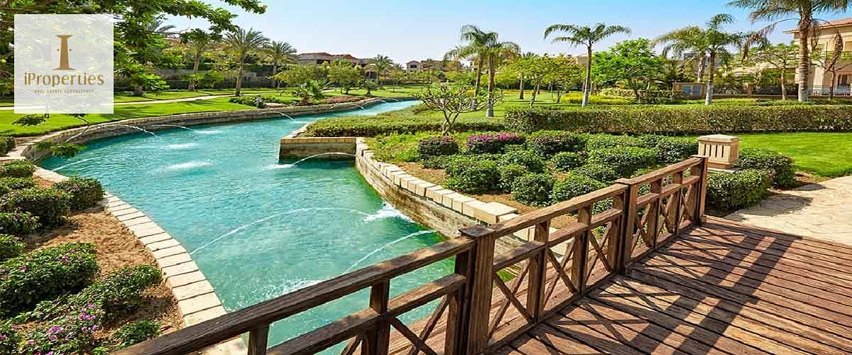 7 swan-lake-التجمع. jpg