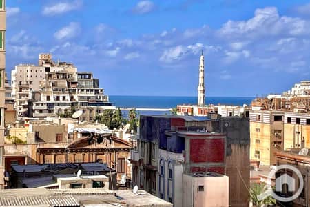 3 Bedroom Flat for Rent in Azarita, Alexandria - Untitled-1_0007_WhatsApp Image 2025-11-30 at 6.46. 52 PM (2). jpg