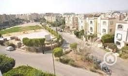 4 WhatsApp Image 2025-10-14 at 12.43. 20 PM (2). jpeg