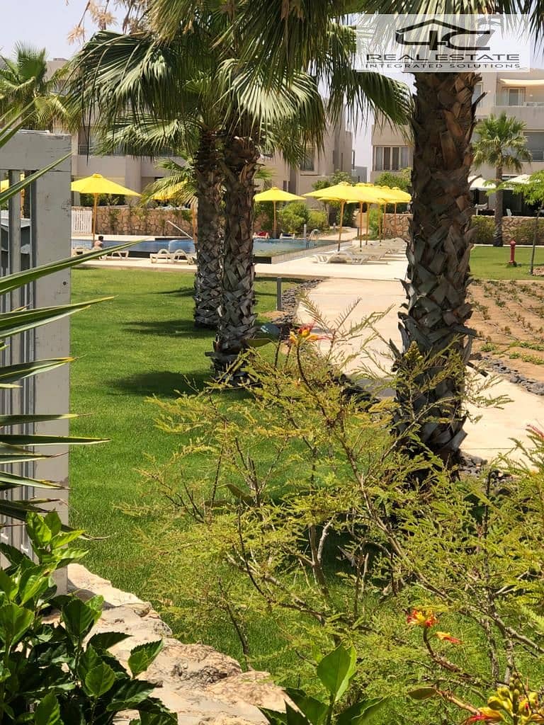 2 WhatsApp Image 2025-12-14 at 6.29. 10 AM (2). jpeg