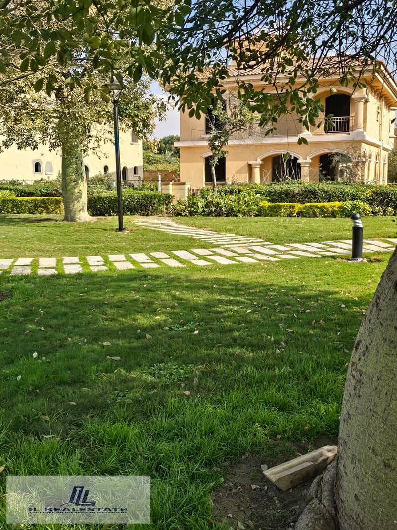 14 e89ff1f7-ad3d-4e09-ba82-db66797b3afe. jpg