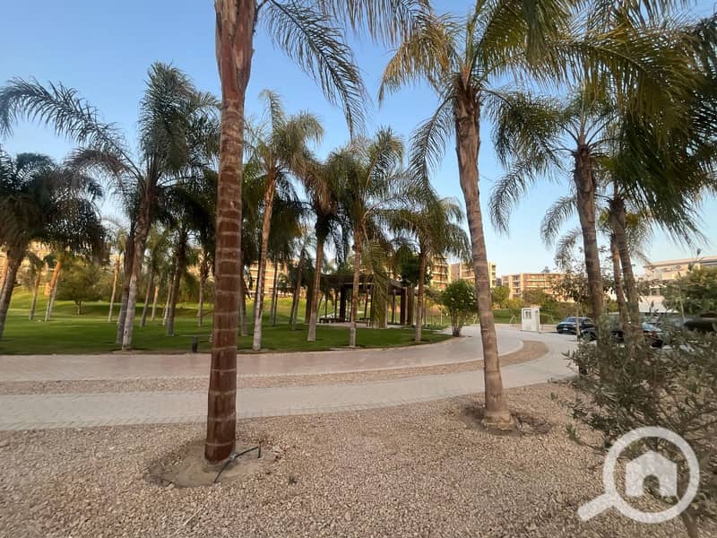 17 IMG-20251210-WA0029. jpg