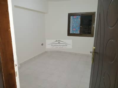 فلیٹ 2 غرفة نوم للايجار في مدينة نصر، القاهرة - WhatsApp Image 2024-11-18 at 4.24. 07 PM. jpeg