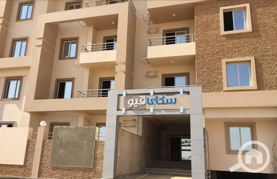 1000013391. jpg 1000013391. jpg