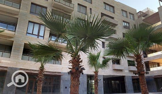 10 Screenshot 2025-08-06 164141. png