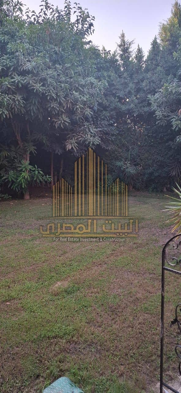 8 U185607 (32). jpeg