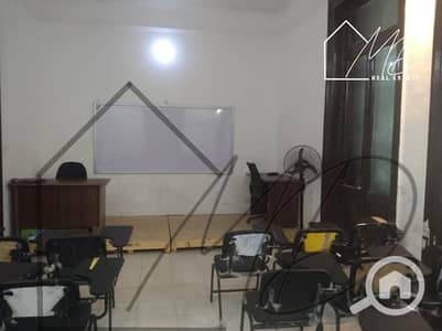 Office for Rent in Sporting, Alexandria - WhatsApp Image 2025-12-14 at 6.49. 41 PM. jpeg