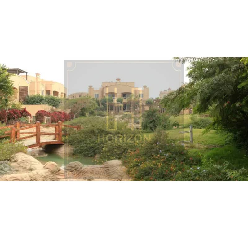 5 17429939118560. jpg